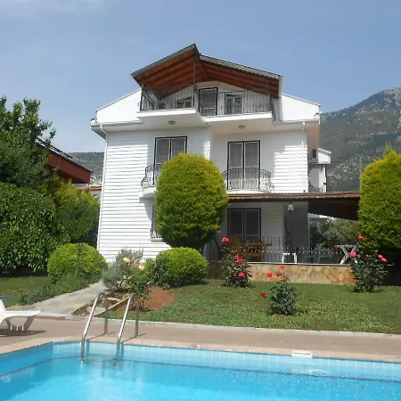 Villa Fethiye Mountain View *